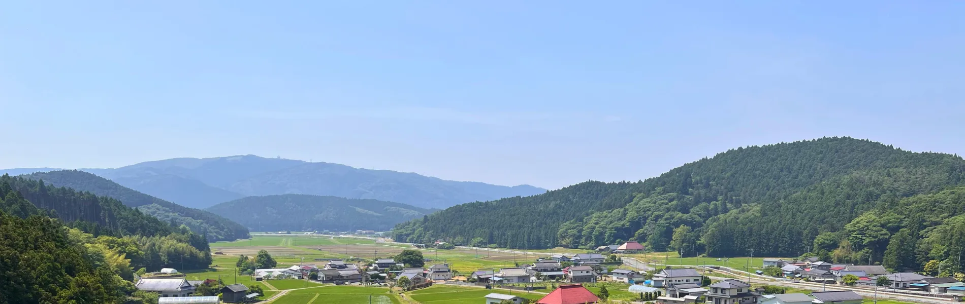 石巻 かほく樹木葬 桜と虹の里