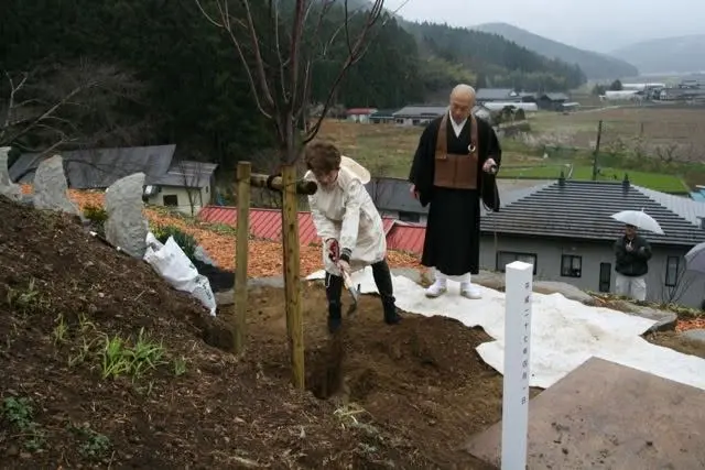 倍賞千恵子さんをお迎えし、石巻の桜の山で記念植樹を行いました